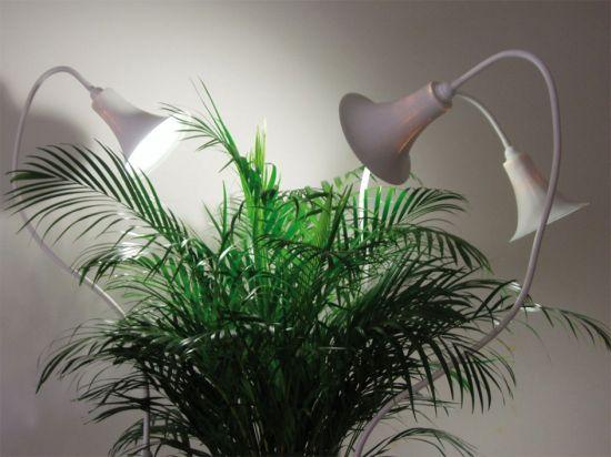 Spotlights, un luminaire qui favorise la croissance des plantes spotlights 02 944x708