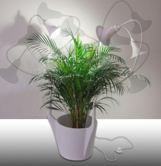 Spotlights, un luminaire qui favorise la croissance des plantes spotlights 04 917x944