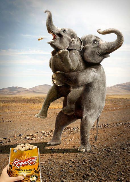 15 exemples de publicités sachant manier l'humour sans s'assécher 15 exemples de publicités sachant manier l'humour sans s'assécher