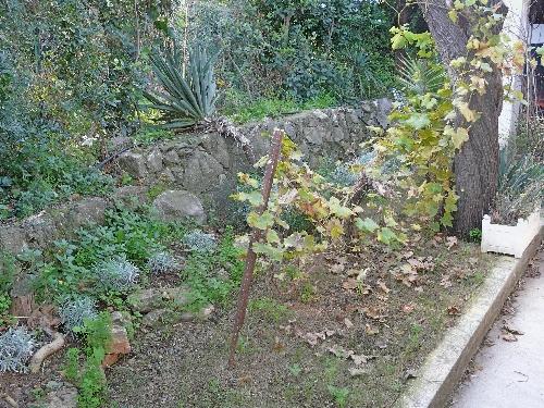 Un temps de saison... idéal !... Journal du 27 novembre 2009 Un temps de saison... idéal !... Journal du 27 novembre 2009