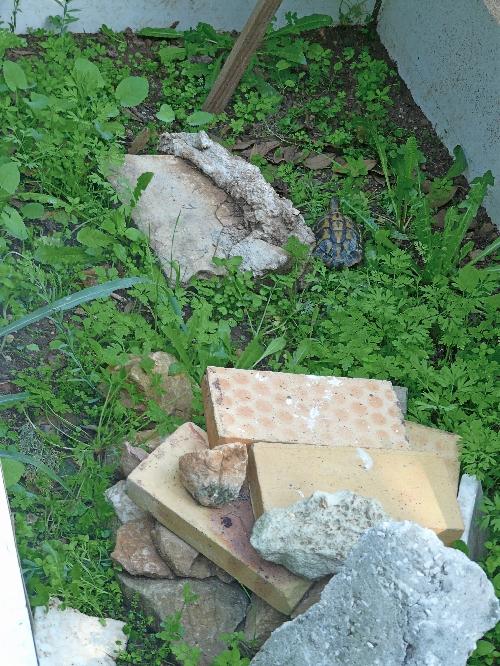 Un temps de saison... idéal !... Journal du 27 novembre 2009 Un temps de saison... idéal !... Journal du 27 novembre 2009