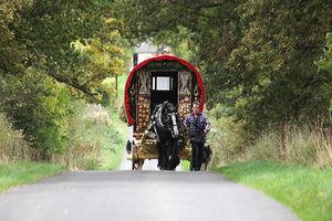 Des Journées Entières à l'Atelier.Coudre, Broder, réfléch... delboys_passion