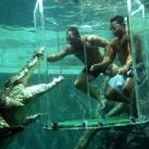 thumbs nage avec aligatore010 Nager avec un Aligatore (32 photos)