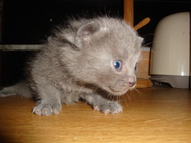 La petite famille du clan d’Iriwal : sortie non autorisée ! La petite famille du clan d’Iriwal : sortie non autorisée !