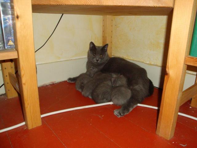 La petite famille du clan d’Iriwal : sortie non autorisée ! La petite famille du clan d’Iriwal : sortie non autorisée !