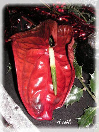 ~~Noël en rouge et noir...~~ no_l_rouge_noir_007_modifi__1