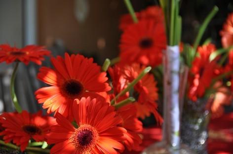 On y croit ! On y croit !