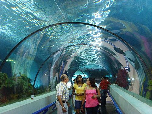 L'aquarium national de Santo Domingo