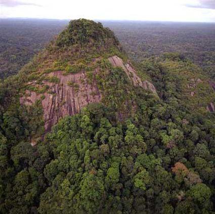 Peuples “premiers” capture01.1258401735.jpg