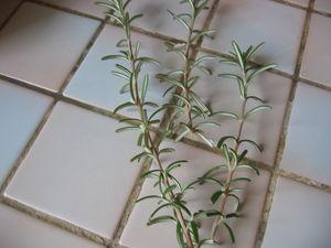 Boeuf à la sauce balsamique IMG_1598