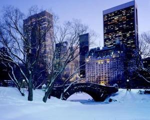 New York New York