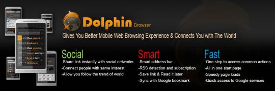 dolphin []