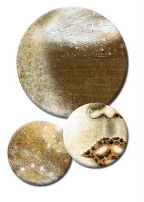 .: Panthera pardus :. © .: Panthera pardus :. ©