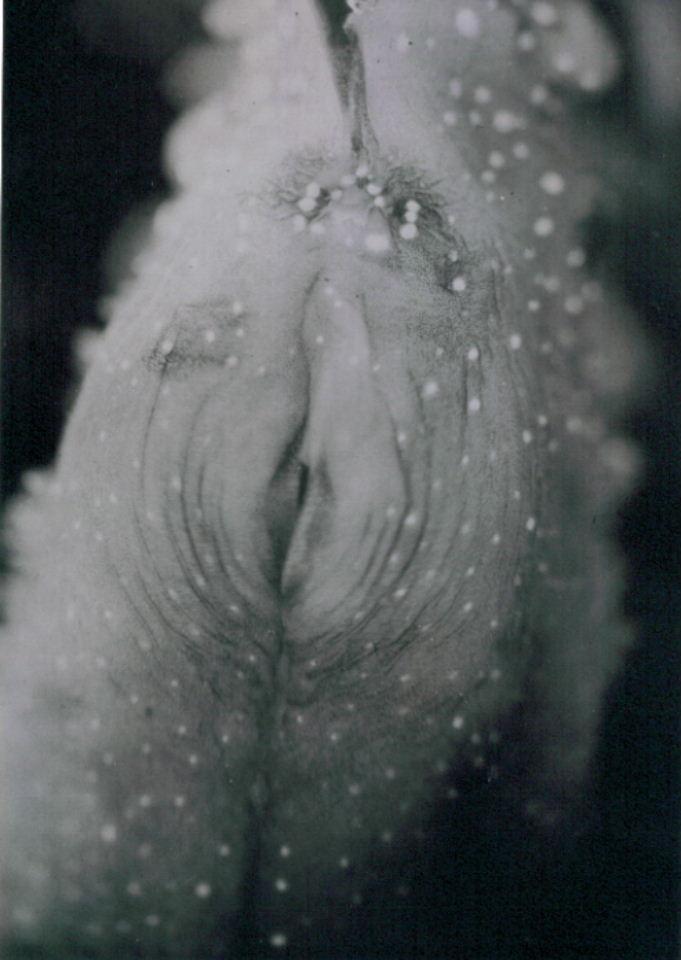 jean-painleve-poche-delhippocampe-male-1931.1259275986.jpg