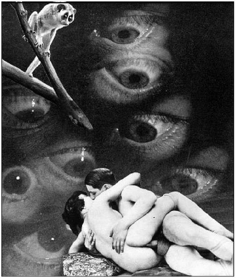 jindrich-styrsky-sans-titre-1933-emilie-vient-me-voir-en-reves.1259276001.jpg