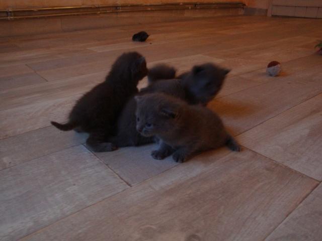 La petite famille du clan d’Iriwal : trois semaines… La petite famille du clan d’Iriwal : trois semaines…