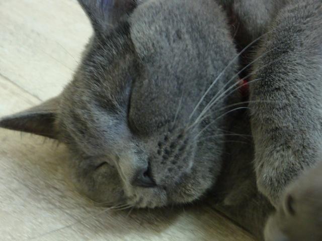 La petite famille du clan d’Iriwal : trois semaines… La petite famille du clan d’Iriwal : trois semaines…