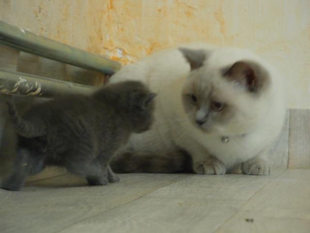 La petite famille du clan d’Iriwal : trois semaines… La petite famille du clan d’Iriwal : trois semaines…