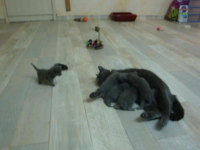 La petite famille du clan d’Iriwal : trois semaines… La petite famille du clan d’Iriwal : trois semaines…