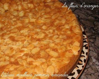 Gâteau moelleux aux pommes et amandes