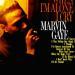 Marvin Gaye Covers Marvin Gaye Covers