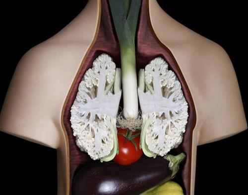 photo humour insolite anatomie légume corps humain