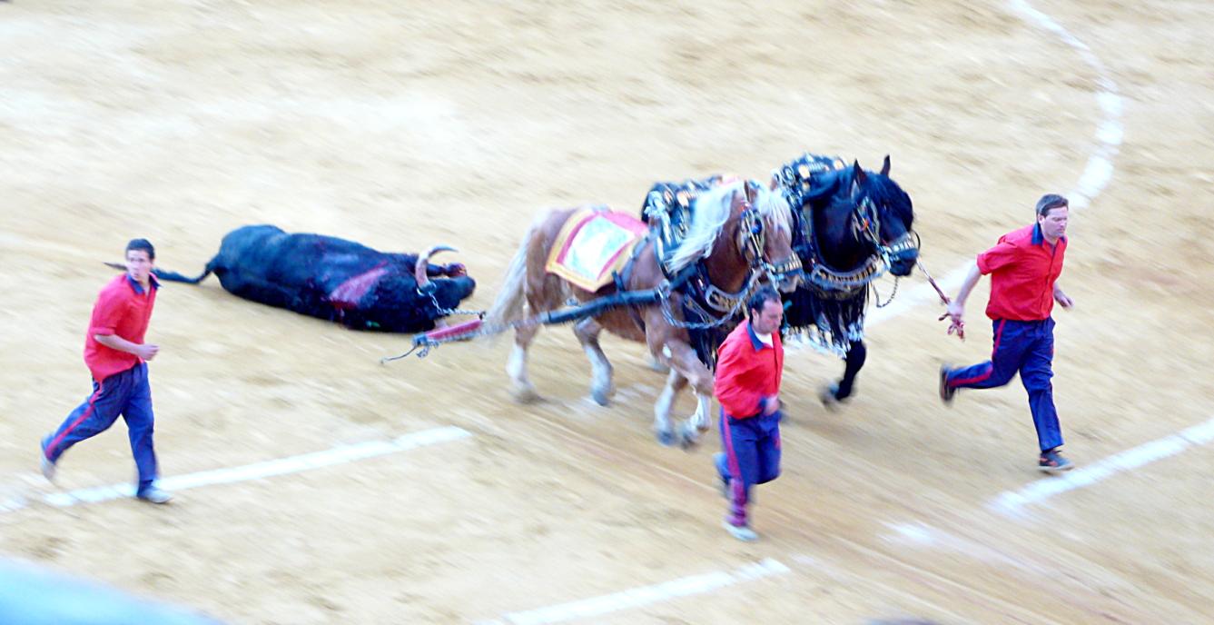 Now what? p1010732.1238930196.JPG