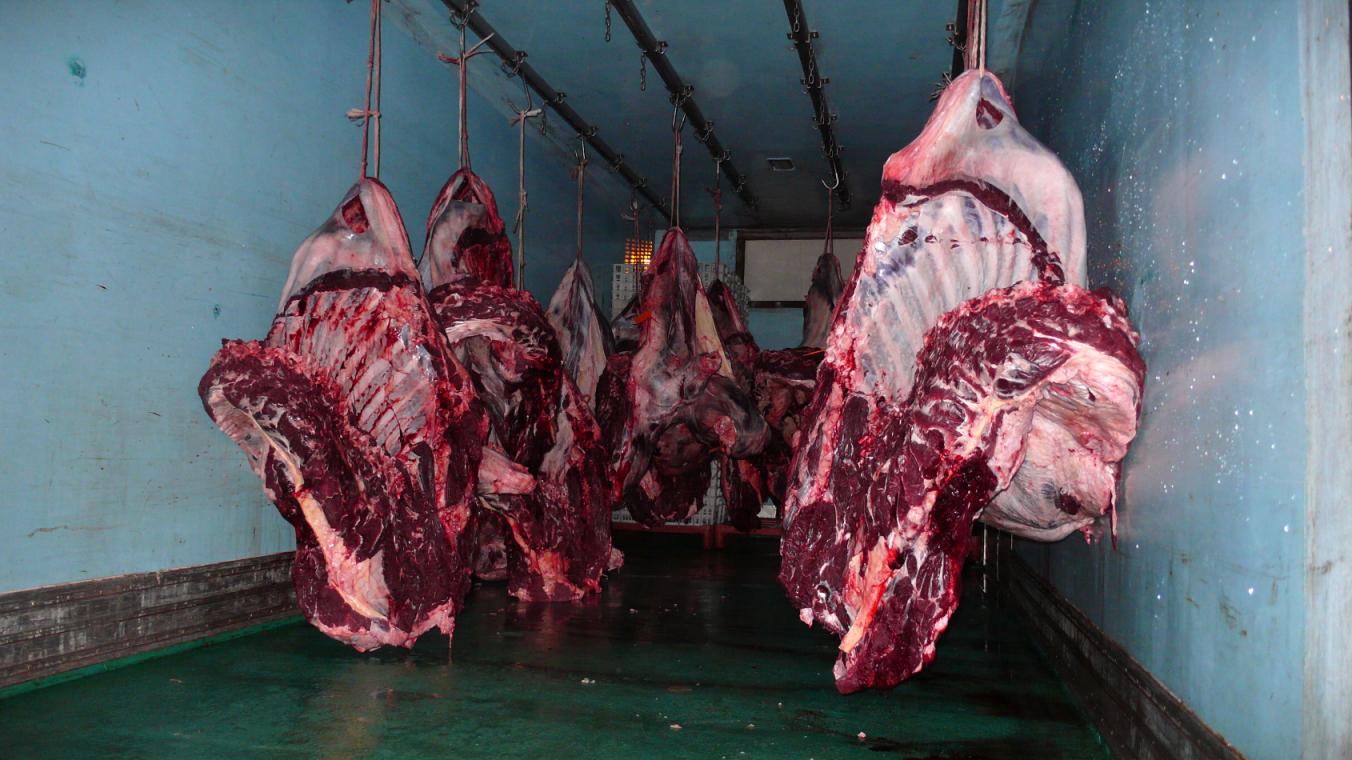 Now what? p1010738.1238930822.JPG