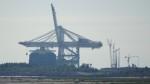 port du havre porte conteneurs.JPG