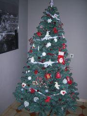 Sapin 2009.jpg