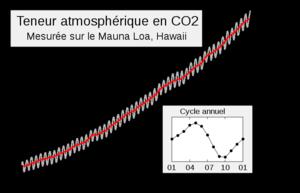 Pour mieux comprendre le Sommet de Copenhague, rappel des préoccupations scientifiques des climatologues 800px-Mauna_Loa_Carbon_Dioxide-fr.svg