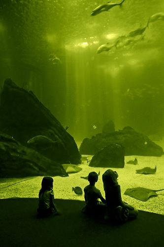 In Another World...