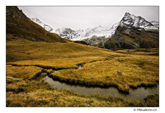 Marécage, Besso, Zinal, Valais, Suisse Marécage, Besso, Zinal, Valais, Suisse