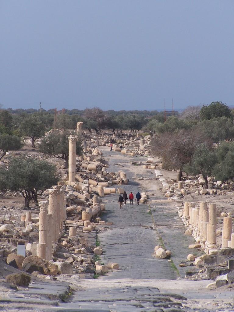 JORDANIE 2 : JERASH ET AUTRES SITES. JORDANIE 2 : JERASH ET AUTRES SITES.