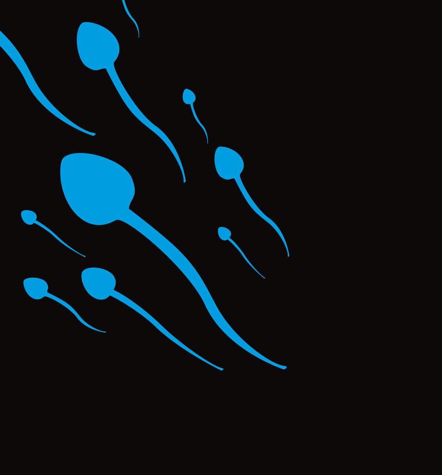 spermato.1226927449.jpg