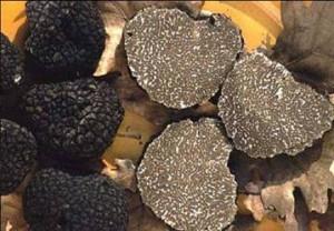 truffes