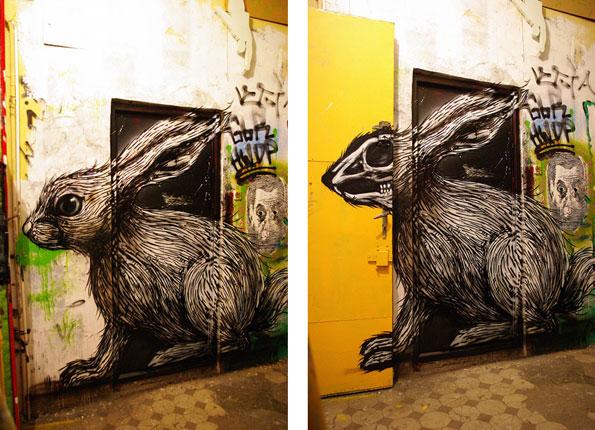 roa.jpg, déc. 2009 roa.jpg