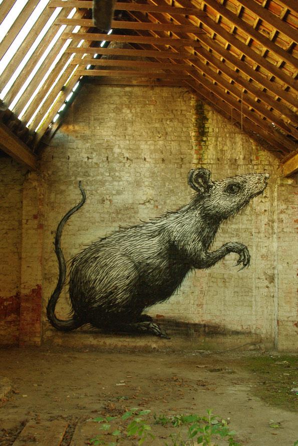 roa.jpg, déc. 2009 roa.jpg