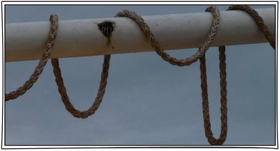 61 La Vendée désarmée