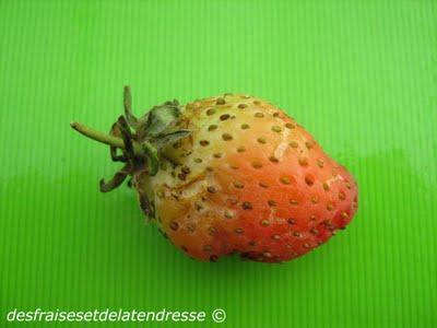 une fraise et Albertine une fraise et Albertine
