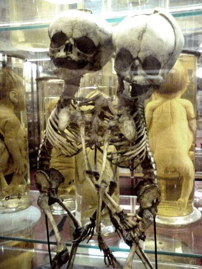 Un musée que nombre d'entre vous n'aimeraient pas. Un musée que nombre d'entre vous n'aimeraient pas.