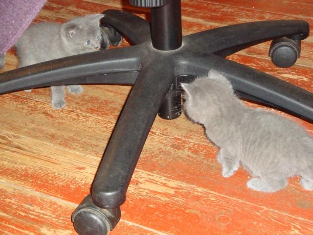 face 3 La petite famille du clan d’Iriwal : tactiques…