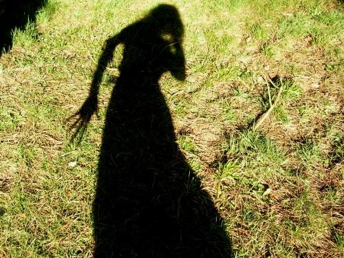 DSCN2753 Piece of me