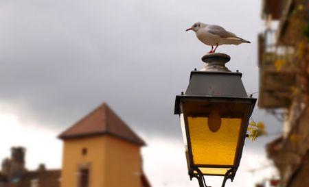 Annecy, ville, château film