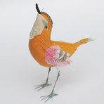 Abigail Brown : Mon coup de coeur du mois ! Oiseau orange a brown