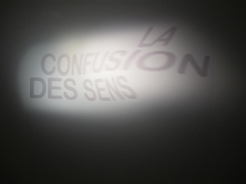 La confusion des sens img_0656-medium.1260467345.JPG
