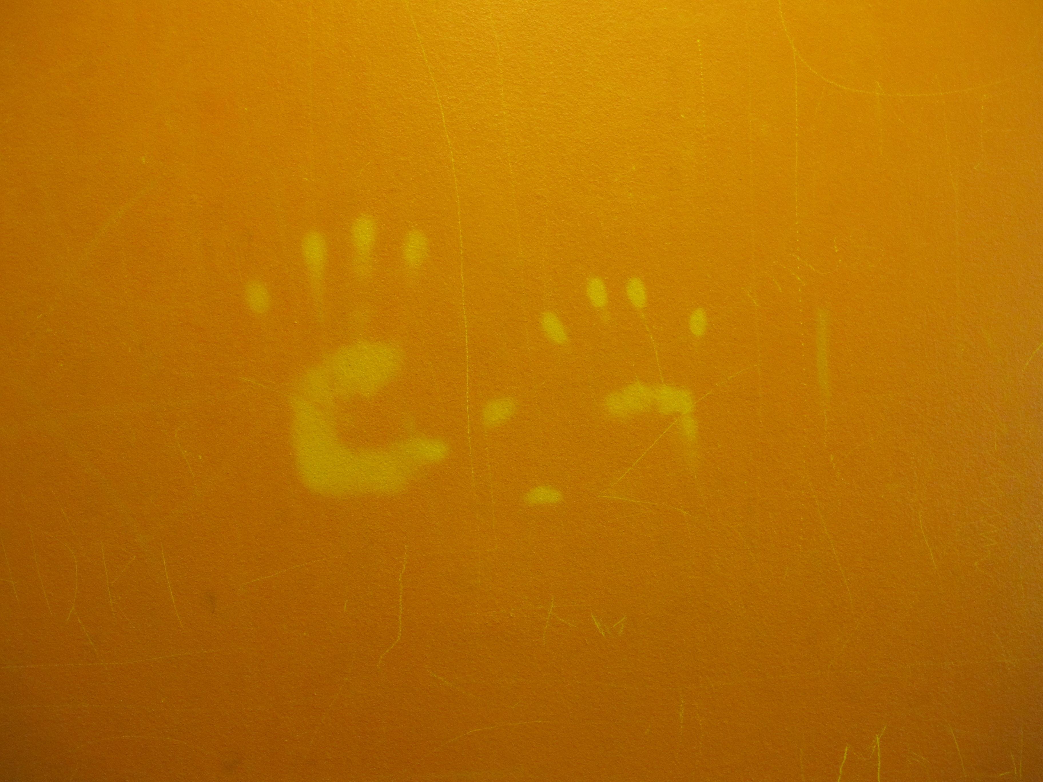 Véronique Joumard veronique-joumard.1260466792.JPG