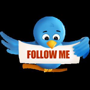 twitter-bird.png