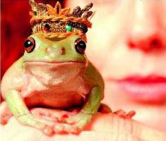 Fantasmes des sites de rencontre : Je cherche un prince par trop charmant
