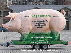Rencontres insolites à la conférence mondiale sur le climat de Copenhague ! Copenhague cochon